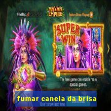 fumar canela da brisa